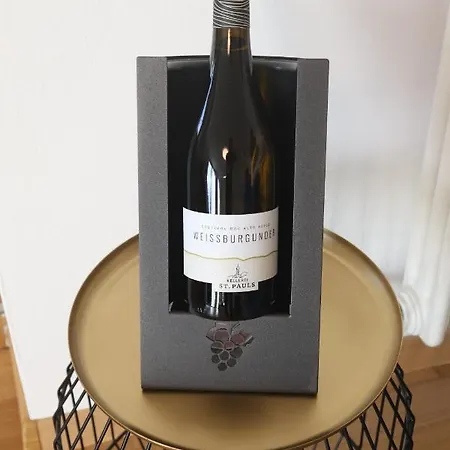 Apartamento Luxus Penthouse Mit Terrasse, Garage, Fahrradraum Und Infrarotsauna