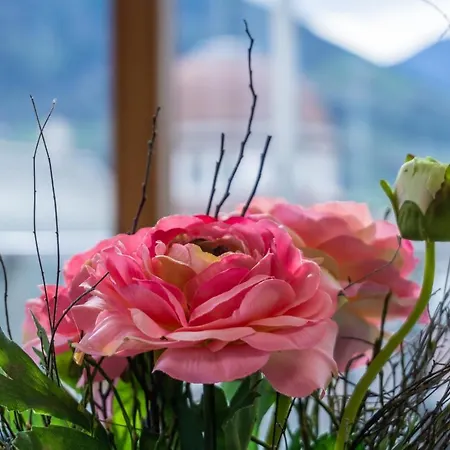 Apartamento Luxus Penthouse Mit Terrasse, Garage, Fahrradraum Und Infrarotsauna