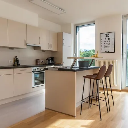 Luxus Penthouse Mit Terrasse, Garage, Fahrradraum Und Infrarotsauna 公寓 *