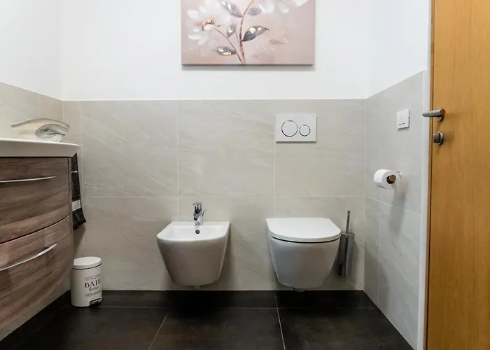 Luxus Penthouse Mit Terrasse, Garage, Fahrradraum Und Infrarotsauna Daire